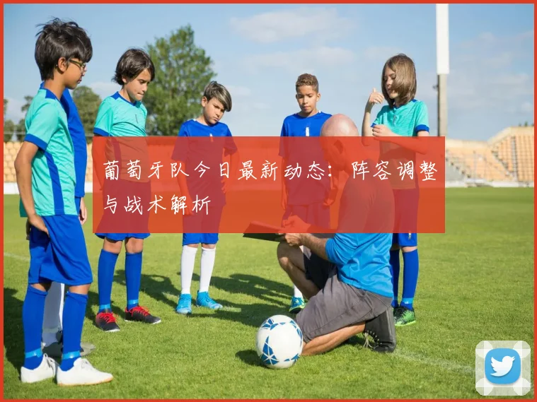 葡萄牙队今日最新动态：阵容调整与战术解析