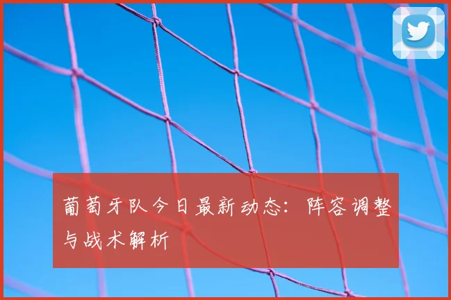 葡萄牙队今日最新动态：阵容调整与战术解析