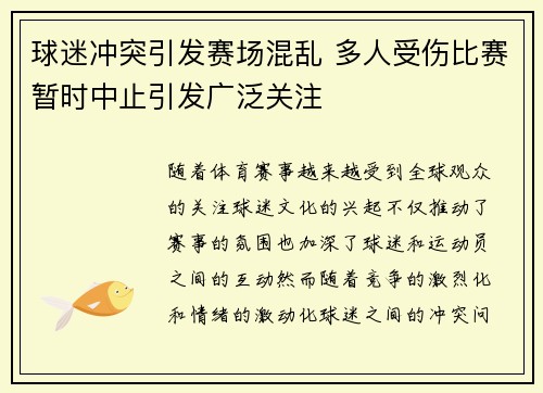 球迷冲突引发赛场混乱 多人受伤比赛暂时中止引发广泛关注